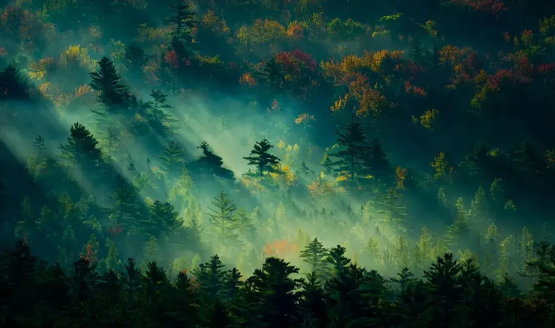 Profile picture of Ashutosh Tripathi